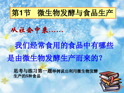 微生物发酵与食品生产PPT多媒体教学课件