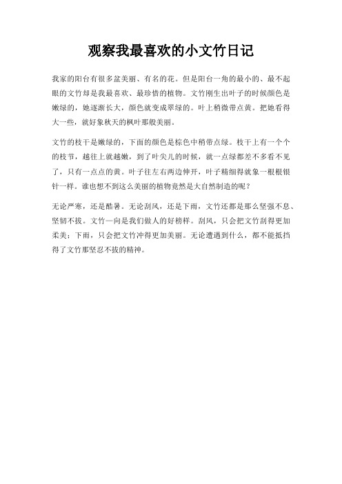 观察我喜欢小文竹日记