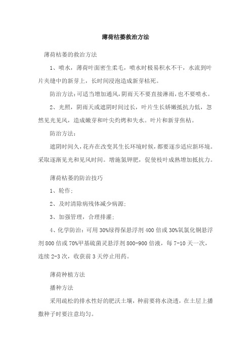 薄荷枯萎救治方法