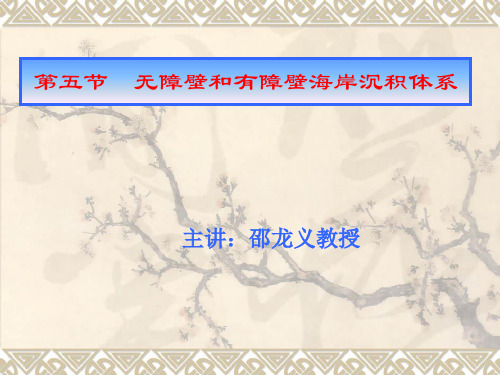 3无障壁和有障壁海岸沉积体系解析