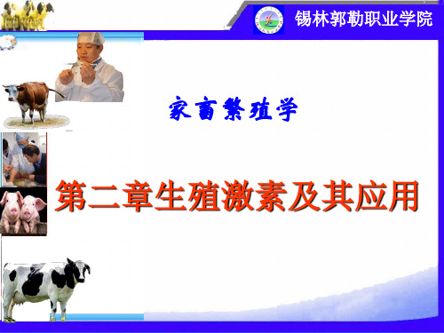 第二章 生殖激素