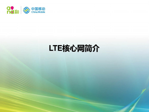 LTE核心网简介  ppt课件