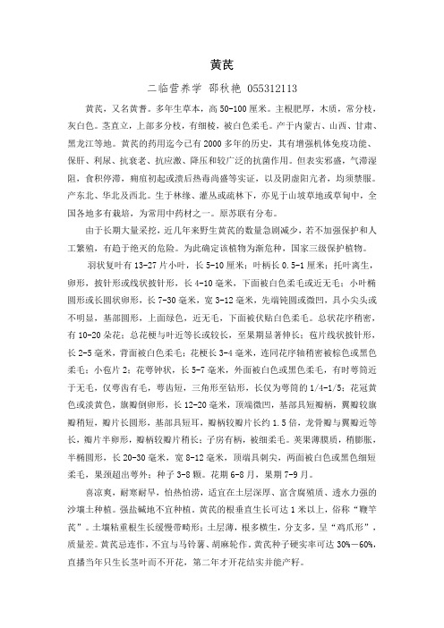 综述-黄芪