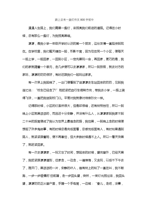 路上总有一盏灯作文800字初中