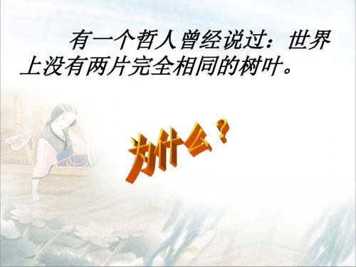 【高中语文】菱角的喜剧ppt精品课件22