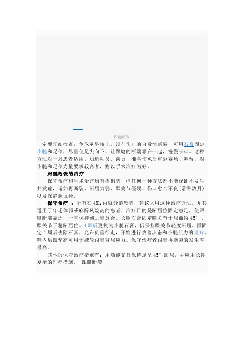 跟腱素材