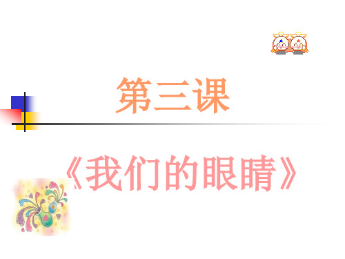 我们的眼睛.ppt