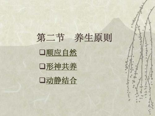 养生2原则(3)