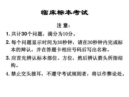 系统解剖标本考试(医学生的必备)免金币