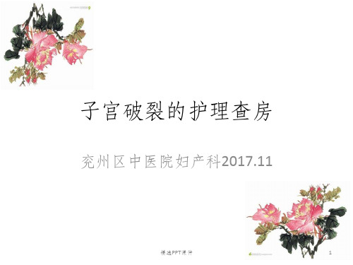 子宫破裂的护理查房ppt课件