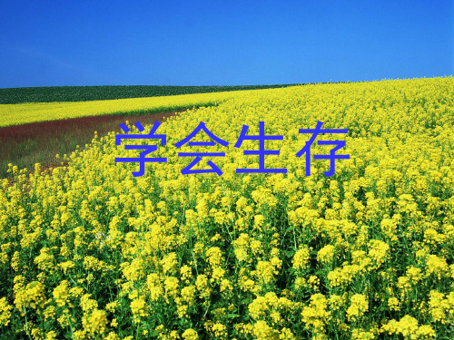 (精选)六年级语文下册习作四《学会生存》 优秀课件5新人教版