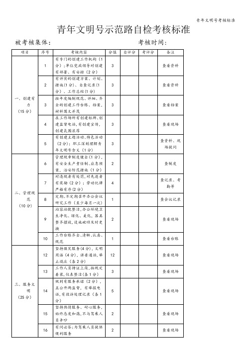 青年文明号考核标准