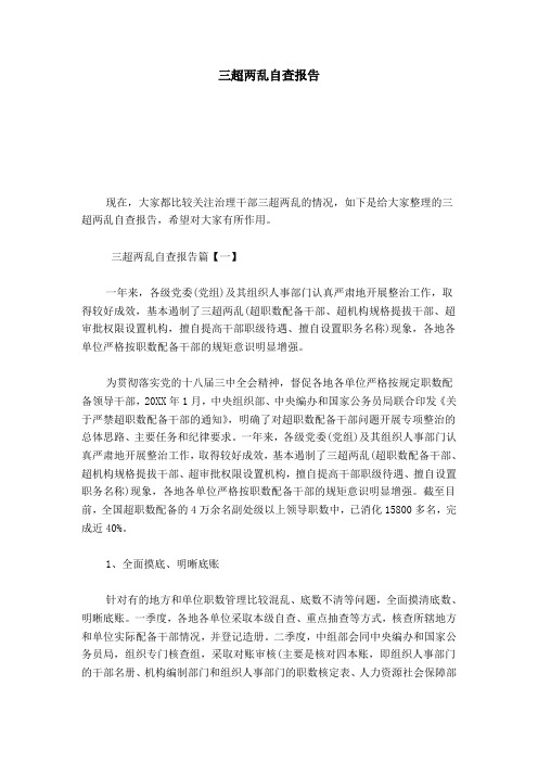 三超两乱自查报告-总结报告模板
