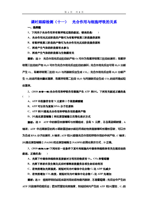 2020创新方案高考生物一轮复习  课时跟踪检测(十一)  光合作用与细胞呼吸的关系