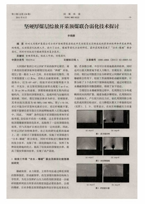 坚硬厚煤层综放开采顶煤联合弱化技术探讨