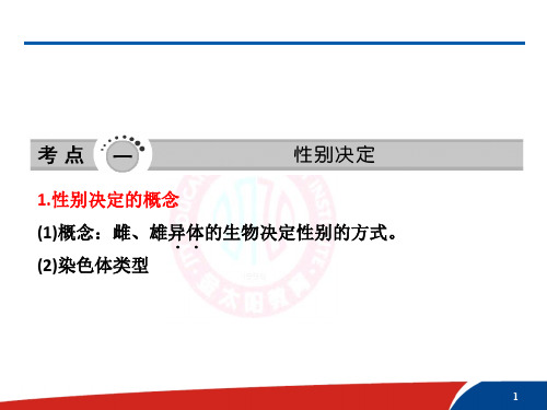 生物高三第一轮复习伴性遗传ppt课件