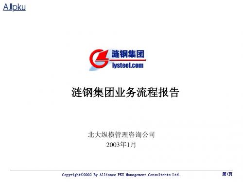 XX集团业务流程报告PPT模板