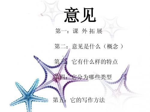 意见 Microsoft PowerPoint 演示文稿