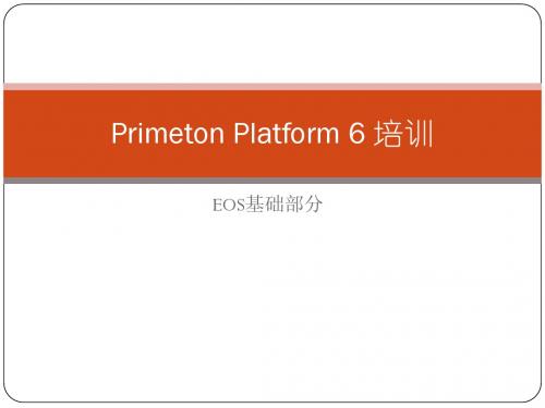 Primeton Platform 6 培训-EOS基础