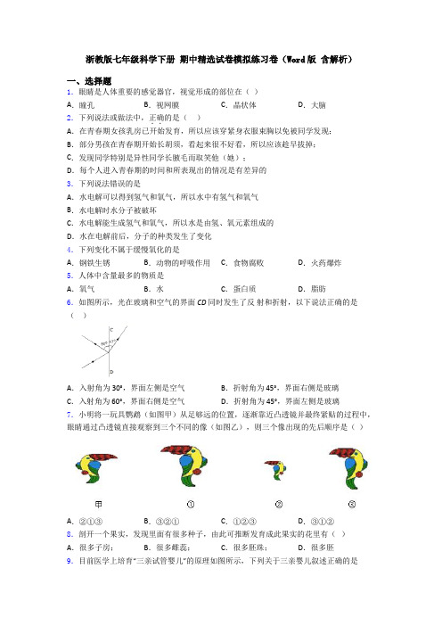 浙教版七年级科学下册 期中精选试卷模拟练习卷(Word版 含解析)