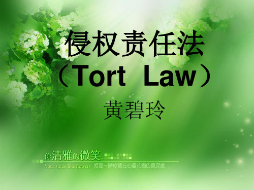 侵权责任法课件