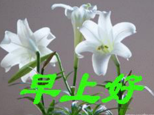 【初中生物】绿色植物的光合作用和呼吸作用复习PPT课件