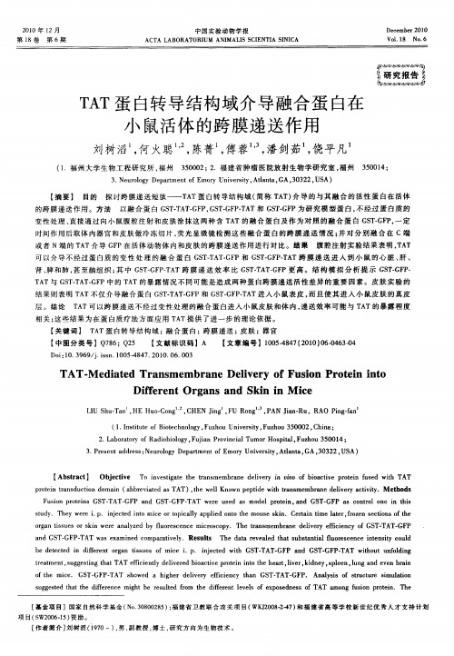 TAT蛋白转导结构域介导融合蛋白在小鼠活体的跨膜递送作用