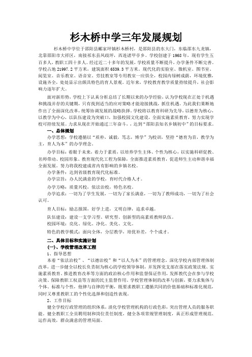 杉木桥中学三年发展规划