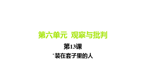 2025高中语文必修下人教版教学课件：第六单元第13课-_装在套子里的人