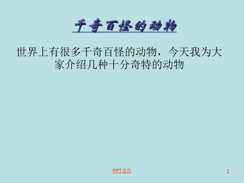 千奇百怪的动物  ppt课件