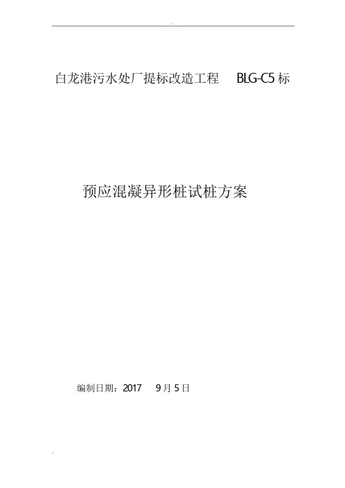 白龙港污水处理厂提标改造工程预应力混凝异形桩试桩方案