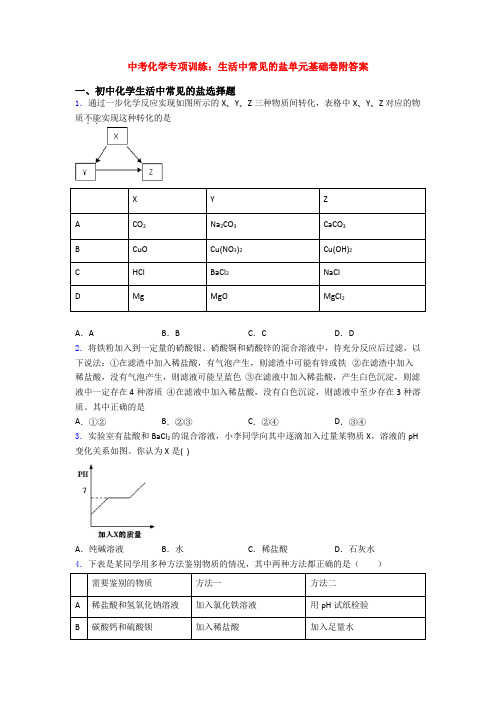 中考化学专项训练：生活中常见的盐单元基础卷附答案