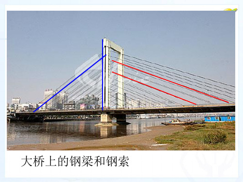 北师大版七年级下册数学：2.1对顶角、余角和补角(共19张PPT)