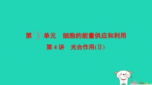 (全国版)2019版高考生物一轮复习第3单元细胞的能量供应和利用第4讲光合作用Ⅱ课件