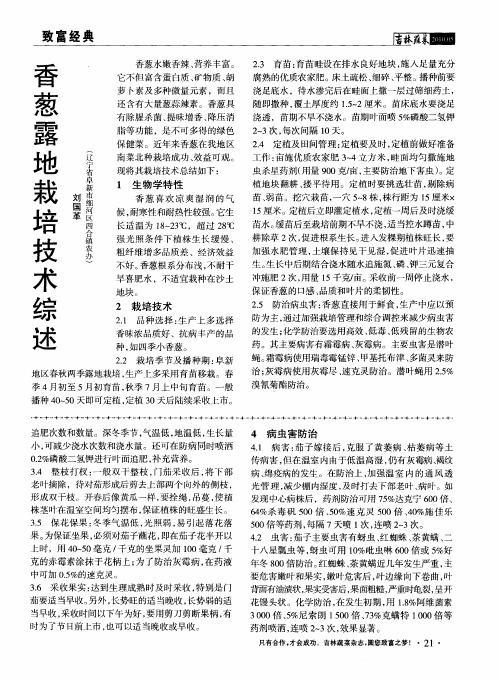 香葱露地栽培技术综述