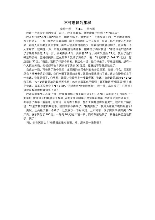 不可思议的旅程2