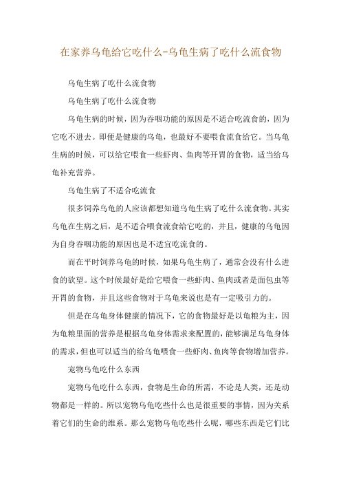 在家养乌龟给它吃什么-乌龟生病了吃什么流食物