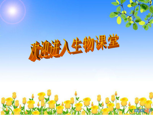 济南版生物七下3.2《物质运输的器官》(血管)课件(共21张PPT)