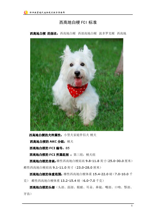 西高地白梗FCI标准.