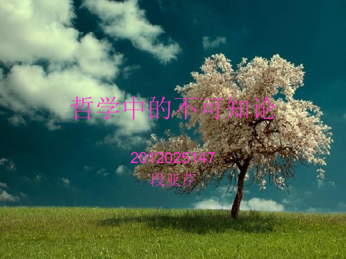 哲学 哲学中的不可知论