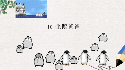 六年级语文下册 企鹅爸爸课件 西师大版