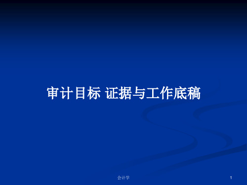 审计目标 证据与工作底稿PPT教案