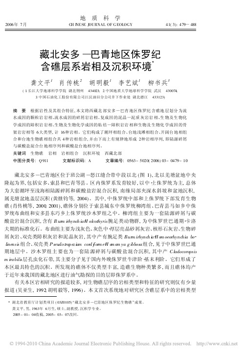 藏北安多_巴青地区侏罗纪含礁层系岩相及沉积环境