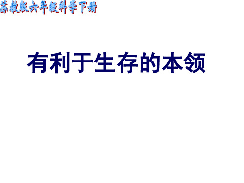 最新苏教版小学科学六年级下册《有利于生存的本领》公开课课件2