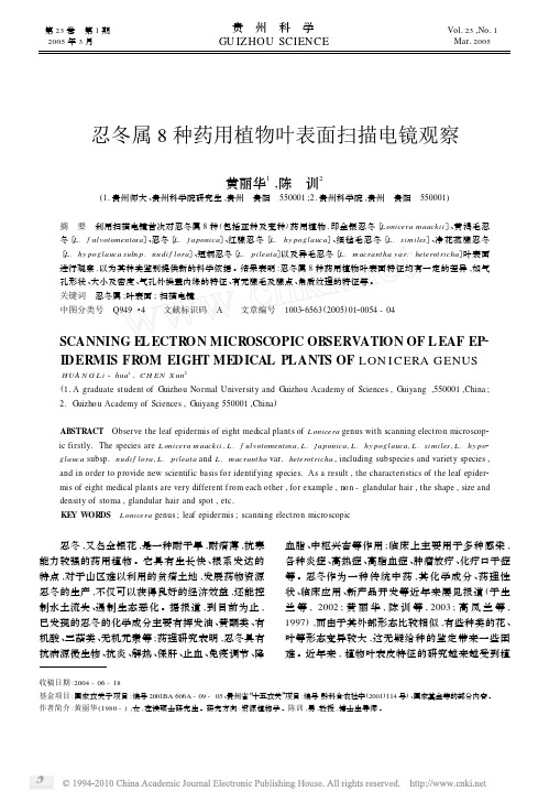 忍冬属8种药用植物叶表面扫描电镜观察