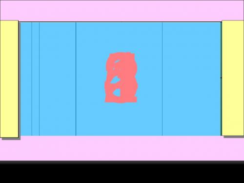 高级财务管理,资本运营 PPT
