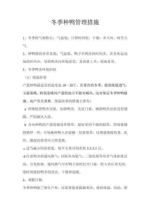 冬季种鸭管理措施