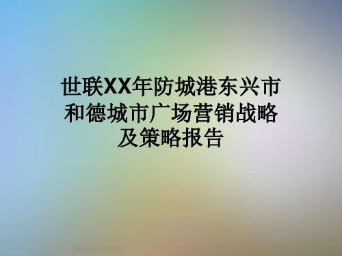 世联XX年防城港东兴市和德城市广场营销战略及策略报告