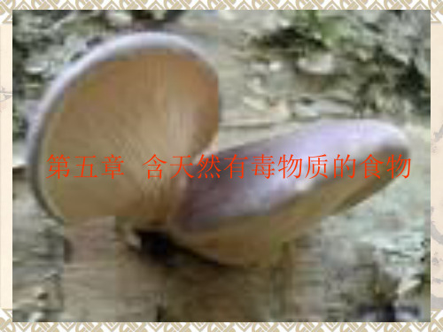 动植物中天然有毒物质