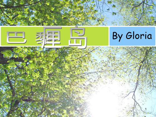 巴厘岛介绍PPT课件